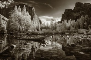 Yosemite Reflections